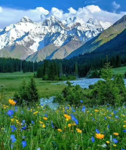 24090110152547820.png